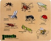 WOODEN PUZZLE MAORI INSECTS OF NEW ZEALAND