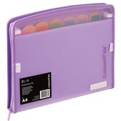 COLOURHIDE ZIP IT EXPANDING FILE PURPLE