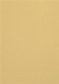 COLOURED PAPER A4 285GSM METALLIC GOLD PACK 5