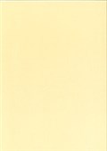 COLOURED PAPER A4 RECYCLED 110GSM SAND PACK 100