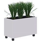 RAPID MOBILE PLANTER INCLUDING TALL PLANTS L900 X H600 WHITE