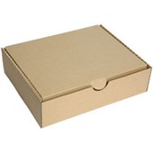 FM STORAGE CARTON A4 W255 X H333 X D90MM KRAFT