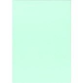 KASKAD COLOURED PAPER A4 160GSM LEAFBIRD GREEN PACK 15