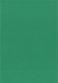 KASKAD COLOURED PAPER A4 160GSM MALLARD GREEN PACK 15